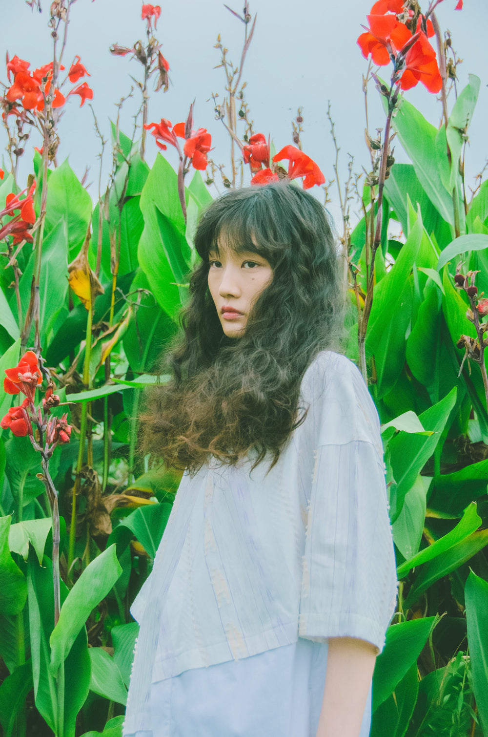 -WATARIDORI- シャツワンピース col:ホワイト